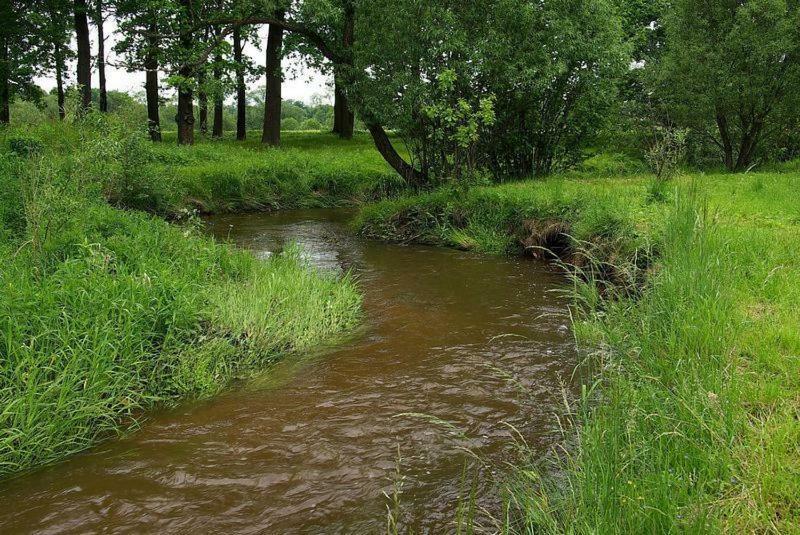 Karpnicka Struga W Dolinie Palacow I Ogrodow Jelenia Góra Eksteriør bilde
